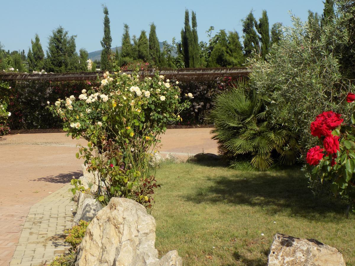 Villa Sorrentina Alguer Exterior foto